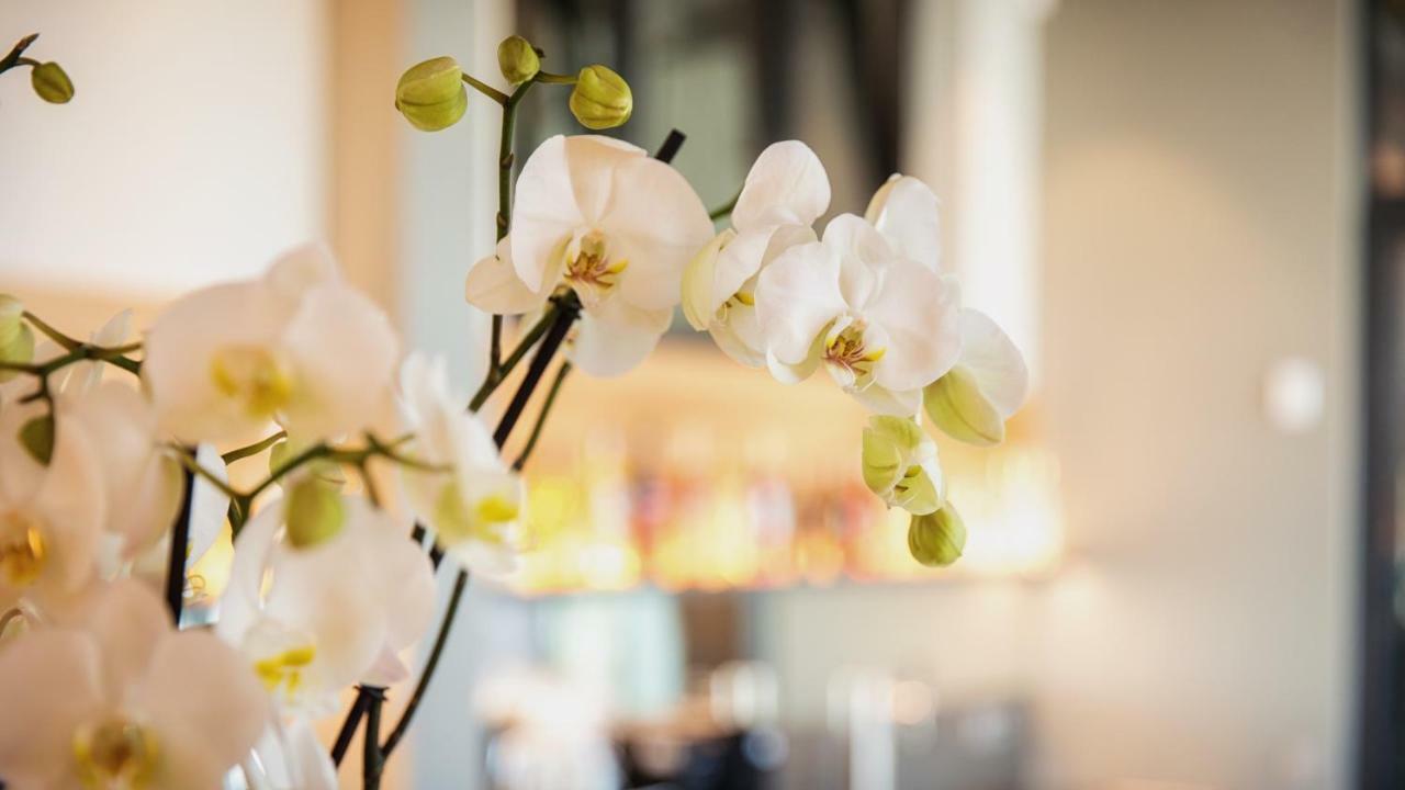 Heuboden Hotel Heu.Loft Freiburg أومكيرش المظهر الخارجي الصورة